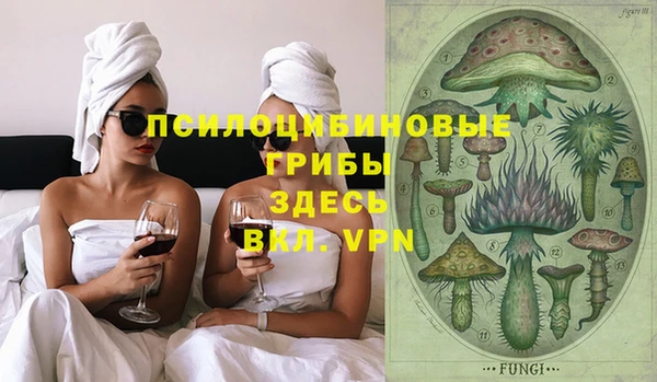 сатива Алзамай
