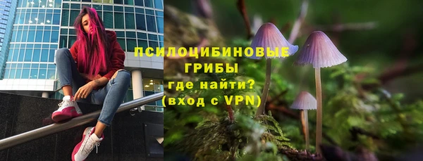 сатива Алзамай